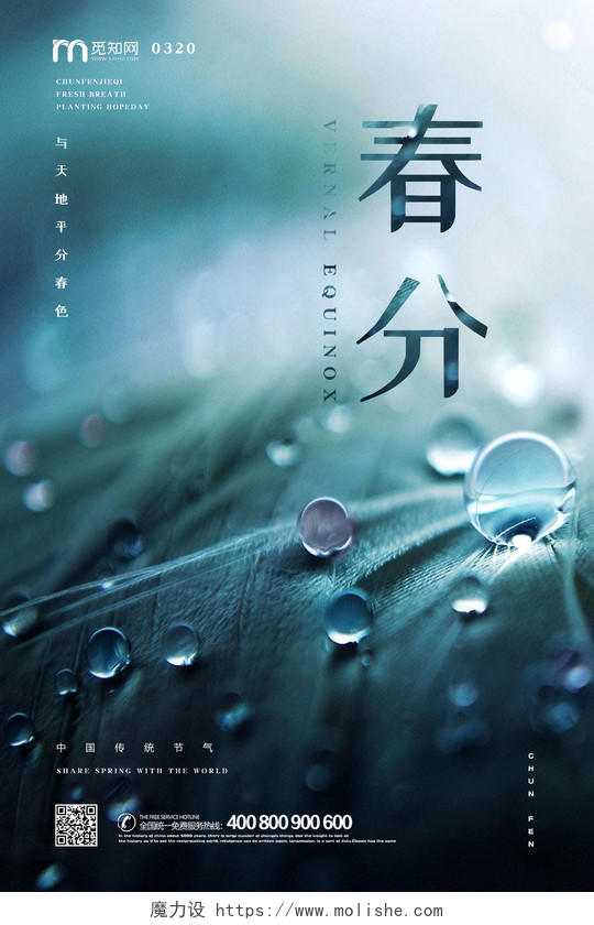 春天景色雨滴传统二十四节气春分宣传海报